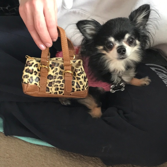 Mini Leopard purse 👛 - Picture 3 of 3